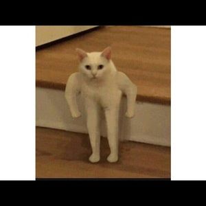 Meet your Posher, Giovanni